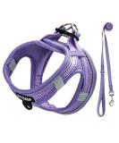 Buy Purple Padded Dog Harness for Small Dogs | XXS Puppy Harness for Comfort & Control - Buy Online on GoSupps.com