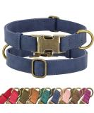 Didog Blue Leather Dog Collar for Small & Medium Dogs | Soft Durable Adjustable with Quick Lock Metal Buckle - Buy Online on GoSupps.com