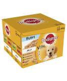 Pedigree Junior Wet Dog Food for Young Dogs and Puppies 2-12 Months Mixed Selection in Jelly 48 Pouches (48 x 100 g) Mixed Selection in Jelly 2.4 kg (Pack of 2) - Buy Online on GoSupps.com