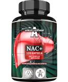NAC+ 600 mg - N-Acetyl L-Cysteine & Artichoke Extract | 120 Vegan Capsules | Liver Support Amino Acid Supplement | Apollos Hegemony - Buy Online on GoSupps.com