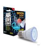 Exo Terra Moonlight UVA LED NANO 5W - Buy Online on GoSupps.com