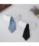 Molain 2 Pcs Pet Cat Dog Bow Tie Cat Collar Bow Tie Adjustable Bowtie for Puppy Party Formal Neck Ties for Dogs & Cats Dog Necktie Costumes for Dogs 30cm/11.8in Black+Blue Stripe Dog Collar Bow Tie 2 Colors Pet Bow Ties - Buy Online on GoSupps.com