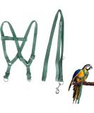 Camidy Adjustable Bird Harness and Leash Kit Macaw Cockatoos Bird Leash for Parrots Outside Training Walk for Large Bird Parrots Green L - Buy Online on GoSupps.com