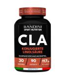 Buy Bandini CLA 2400 mg - Fat Burner & Weight Loss | 90 Softgels | 100% Pure Saflor Oil | Optimized for Sports & Gym - Buy Online on GoSupps.com