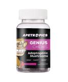 Apetropics Genius Chews - Nootropic Brain Gummies with Mushrooms - Very Berry Flavor - 30 Fruit Chews (Pack of 1) - Buy Online on GoSupps.com