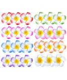 24 Pack Hawaiian Flower Hair Clips 2.5 Inch Plumeria Foam Hair Accessories Clip for Women Hawaii Tropical Party Decorations Beach Pool Vacation Outfit Luau Party Supplies favors Bridal Wedding Multi-colored - Buy Online on GoSupps.com