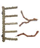 Allazone 3-Piece Nature Bird Accessories Set | Wooden Ladder Pole & Toys for Parrots & Canaries - International Shipping Available - Buy Online on GoSupps.com