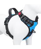 Phoepet XL Blue Dog Harness for Small Dogs - Reflective Vest with Adjustable Clip Handle & 2 Metal Rings - Easy On/Off with 3 Buckles - Buy Online on GoSupps.com