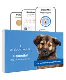 Wisdom Panel Essential Dog DNA Test Kit: Accurate Breed ID, Ancestry & Health | 25+ Conditions | Traits | Relatives - 1 Pack - Buy Online on GoSupps.com