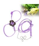 Adjustable Lizard Harness - Bearded Dragon Leash for Reptile Walking Control - Buy Online on GoSupps.com