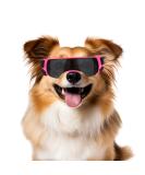 Namsan Sunglasses for Small Dogs | Windproof UV Protection & Waterproof Puppy Safety Glasses with Adjustable Rubber Band | Pink - Buy Online on GoSupps.com