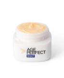 L'Oreal Paris Age Perfect Collagen Expert Retightening Care Night Cream Anti-Sagging Plus Anti Age Spots Night Moisturiser Cream Targets Age Spots 50 ml - Buy Online on GoSupps.com