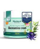 Herbiovit Glucosamin MSM Cream 250ml - Joint & Muscle Pain Relief | Vegan Formula with Devil's Claw Collagen Eucalyptus & Peppermint for Fast Cooling Support - Buy Online on GoSupps.com