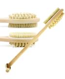 Bath & Relax Natural Bristle Long Handled Shower Back Scrubber Brush for Exfoliating Skin - Men and Women - Buy Online on GoSupps.com