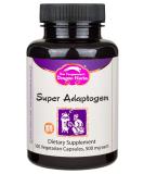Dragon Herbs Super Adaptogen 500 mg 100 Vegetarian Capsules - Buy Online on GoSupps.com