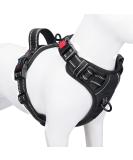 Phoepet Reflective Adjustable Dog Vest for Small Dogs - No Pull Harness with Handle 2 Metal Rings & 3 Buckles (Large Black) - International Shipping Available - Buy Online on GoSupps.com