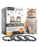 Buy Adjustable Waterproof Cat Neck Collar for Kittens & Cats - Fits 4 to 24 Months 48cm - Black - Buy Online on GoSupps.com