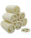6 pieces Luffa sponge natural 10cm Luffa cucumber remove Dead Skin for personal hygiene bath and shower cuisine low winged sponge peeling natural sponge (compressed) - Buy Online on GoSupps.com