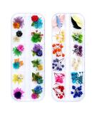 iFancer Nail Dried Flowers: 90 Pcs, 36 Colors, Real Nature Dry Petals for 3D Nail Art Manicure Decoration - Buy Online on GoSupps.com