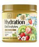 Daily Electrolyte Drink Mix | Extra Strength Hydration Powder | 6 Electrolytes & Minerals | Vegan Non-GMO Fruit Punch | 60 Servings - Buy Online on GoSupps.com
