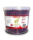 Supravit Rose Hed Horse 2kg Bucket | Vitamin C Enriched Dried Fruits for Horses & Ponies | Sugar-Free Natural Treats | Premium Quality - Buy Online on GoSupps.com