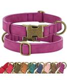Didog Adjustable Soft Leather Dog Collar for Medium & Small Dogs - Durable & Stylish Purple Collar with Quick Lock Metal Buckle (13-21 Inch Neck) - Buy Online on GoSupps.com