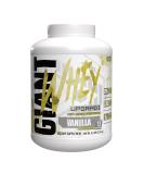 Giant Sports Performance Whey Protein Powder - 100% Whey 24G Protein & 5G BCAAs | Vanilla Ice Cream 5lb - International Shipping Available - Buy Online on GoSupps.com