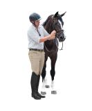 Ovation Mens Euroweave Knee Patch Breech 30R - High-Quality Performance Breeches for Men - Buy Online on GoSupps.com