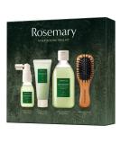 AROMATICA Rosemary Scalp Scaling Trial Kit - Mini Wooden Hair Brush - [Shampoo 3.38 fl. oz. / Root Enhancer 1.01 fl. oz. / Scalp Scrub 1.01 fl. oz.] - For Clearer and Dandruff Free Hair - Plant-based Vegan Shampoo - Free f… - Buy Online on GoSupps.com