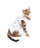 Selmai Medical Pet Shirt | Soft Cotton E-Collar Alternative for Dogs & Cats | Nursing Clothing & Wound Protection | Blue S S Football Design - Buy Online on GoSupps.com