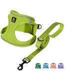 BELLA & PAL Hundegeschirr f r Kleine Hunde - Atmungsaktives Anti-Zug Step-in Geschirr mit Leine Reflektierend in Avocadogr n S (35-40 cm Brustumfang) - Buy Online on GoSupps.com