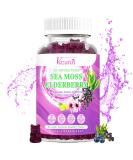 Vegan Sea Moss Gummies with Elderberry, Bladderwrack, Echinacea, Apple Cider Vinegar & More - 60Ct Supplement for Adults & Kids - Blueberry Flavor - Buy Online on GoSupps.com