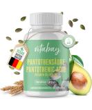 Vitabay Vitamin B5 Pantothenic Acid 500 mg - 200 Vegan Capsules for Optimal Health - High-Dose Panthenol Supplement - Buy Online on GoSupps.com