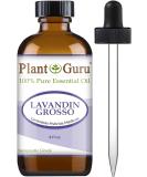 100% Pure Lavandin Grosso Essential Oil 4 oz - Undiluted Therapeutic Grade for Aromatherapy & Wellness - Buy Online on GoSupps.com