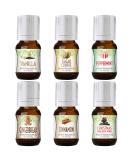 Winter Essential Oil Set: Christmas Wreath, Pine, Vanilla, Peppermint, Cinnamon, Sugar Cookie, Gingerbread - 6 Fragrance Oils by Good Essential Oils - Buy Online on GoSupps.com