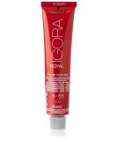 Black head Igora Royal Premium hair color 6-65 Dark blonde chocolate gold 1-pack (1 x 60 g) 6-65 dark blonde chocolate gold 60 ml (1 Pack) - Buy Online on GoSupps.com