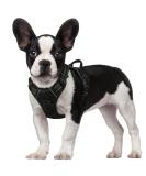 Rabbitgoo Medium Dog Harness - No Pull Adjustable Breathable Safe Control for Large Dogs - Black - Buy Online on GoSupps.com