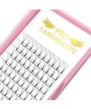 4D-D-0.10 Short Stem Pre Made Fan Eyelash Extensions 9-15mm - Russian Volume Lashes 0.07/0.10 - Buy Online on GoSupps.com
