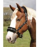 Rhinegold Logo Halter with Fleece Trim - Black Full Size | Premium Equestrian Gear for International Shipping - Buy Online on GoSupps.com