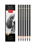 Brusarth Professional Charcoal Pencils Drawing Set 6 Pieces (Ex-Soft, Soft, Medium, & Hard) Charcoal Pencils for Drawing, Sketching, Shading, Artist Pencils for Beginners & Artists Black - Buy Online on GoSupps.com