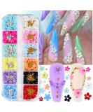 Dornail 12-Grid 3D Flower Nail Charms - 12 Colors Acrylic Flower Nail Art Accessories for DIY Designs & Decorations - Buy Online on GoSupps.com