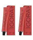 Schwarzkopf Igora Royal 6-88 Hair Color Set - 2 x 60ml | International Shipping Available - Buy Online on GoSupps.com