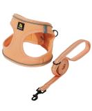 Buy Bella & Pal Dog Harness for Small Dogs - Reflective Breathable Air Mesh with Leash - Perfect for Puppies & Cats - Peach Color - 40-45cm - Buy Online on GoSupps.com