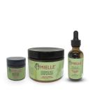 Mielle Organics Complete Combo: Rosemary Mint Hair Oil Hair Masque & Strengthening Edge Gel - Nourish & Strengthen Your Hair Naturally - Buy Online on GoSupps.com