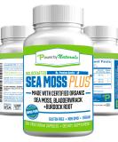 Power By Naturals Certified Organic Sea Moss Plus Supplements - 60 Vegan Capsules with Irish Sea Moss, Bladderwrack, and Burdock Root for Pure and Potent Seaweed Blend - Buy Online on GoSupps.com