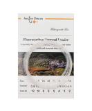 ANGLER DREAM 3 Pack Fluorocarbon Fly Leader 9FT 5x Transparent Tapered Fishing Leader - Buy Online on GoSupps.com