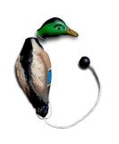 AUSCAMOTEK Duck Dummy Bumper for Waterfowl Hunting Retriever Dog Training Soft Durable Floating - Buy Online on GoSupps.com
