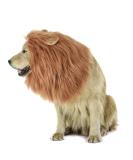 LUUFAN Lion Mane Wig for Dog and Cat Costume with Ears - Light Brown, Adjustable and Comfortable Pet Lion Hair Dress for Halloween, Christmas, Easter - Perfect for Festival Party Activities - Buy Online on GoSupps.com