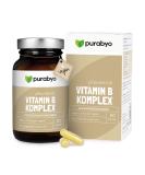 Vitamin B complex high dose in buckwheat | in a glass | natural | vegan | high dose | All B vitamins with vitamin B12 - Buy Online on GoSupps.com