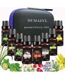 Essential Oils Gift Set - Vetiver Rose Rosemary Chamomile Ylang Ylang Bergamot Vanilla & Clary Sage - 8 Pack x10ML for Diffuser Humidifier & Candle Making - Buy Online on GoSupps.com